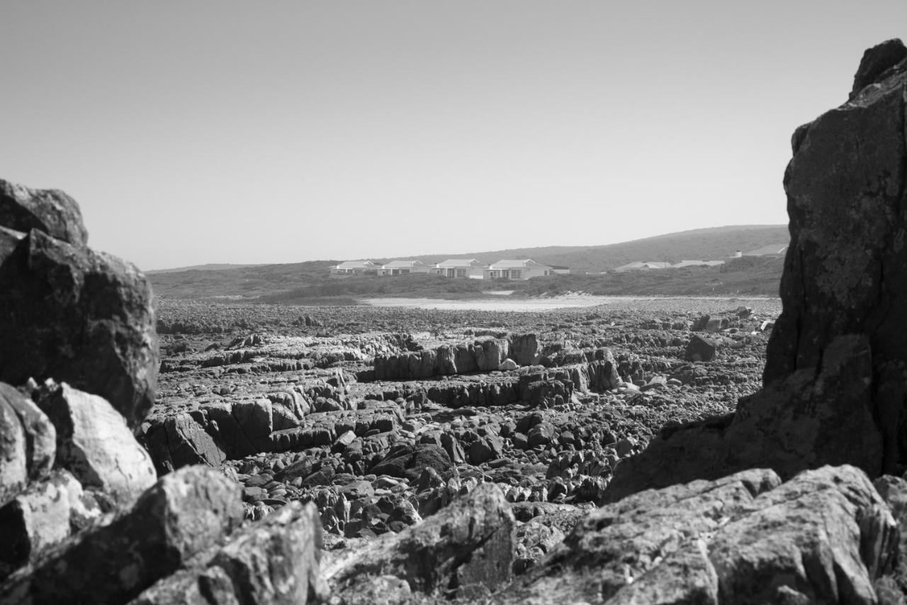 Gouritzmond Gourikwa Nature Reserve المظهر الخارجي الصورة