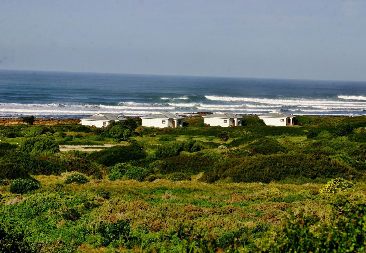 Gouritzmond Gourikwa Nature Reserve المظهر الخارجي الصورة