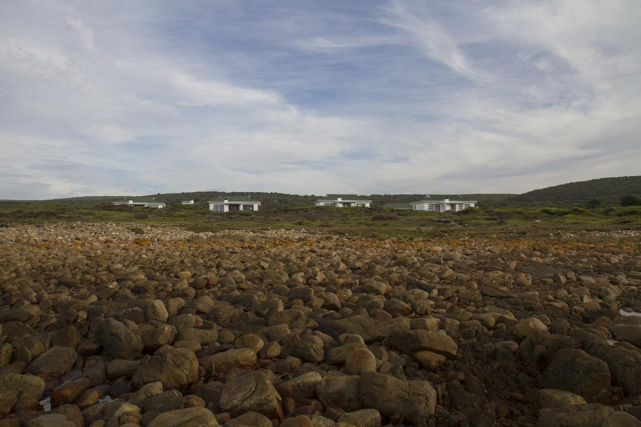 Gouritzmond Gourikwa Nature Reserve المظهر الخارجي الصورة